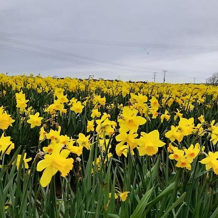 펜젠스 Cosy Country Getaway, 5 Mins From The Sea 빌라 외부 사진