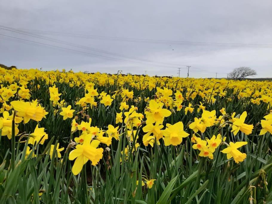 펜젠스 Cosy Country Getaway, 5 Mins From The Sea 빌라 외부 사진